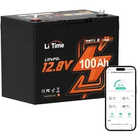 LiTime 12V 100Ah Group 24 Bluetooth LiFePO4 Battery product image